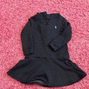 JCrew Crewcuts Girls Hoodie Dress